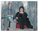 Jasenak Rock-N-Roll(Jack) in Poodle Specialty.First place in open class!3 points major under Mr.Charles D. Arnold