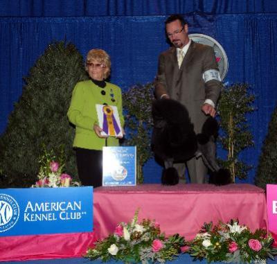 Ch. Zelon Driving Miz Dazy Crazy,TP